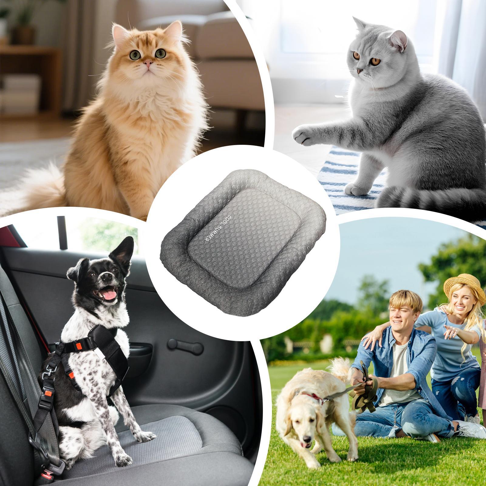 Hondenkoelmat Draagbare antisl - Outdoor Camping Dog Kennel recensie en prijs