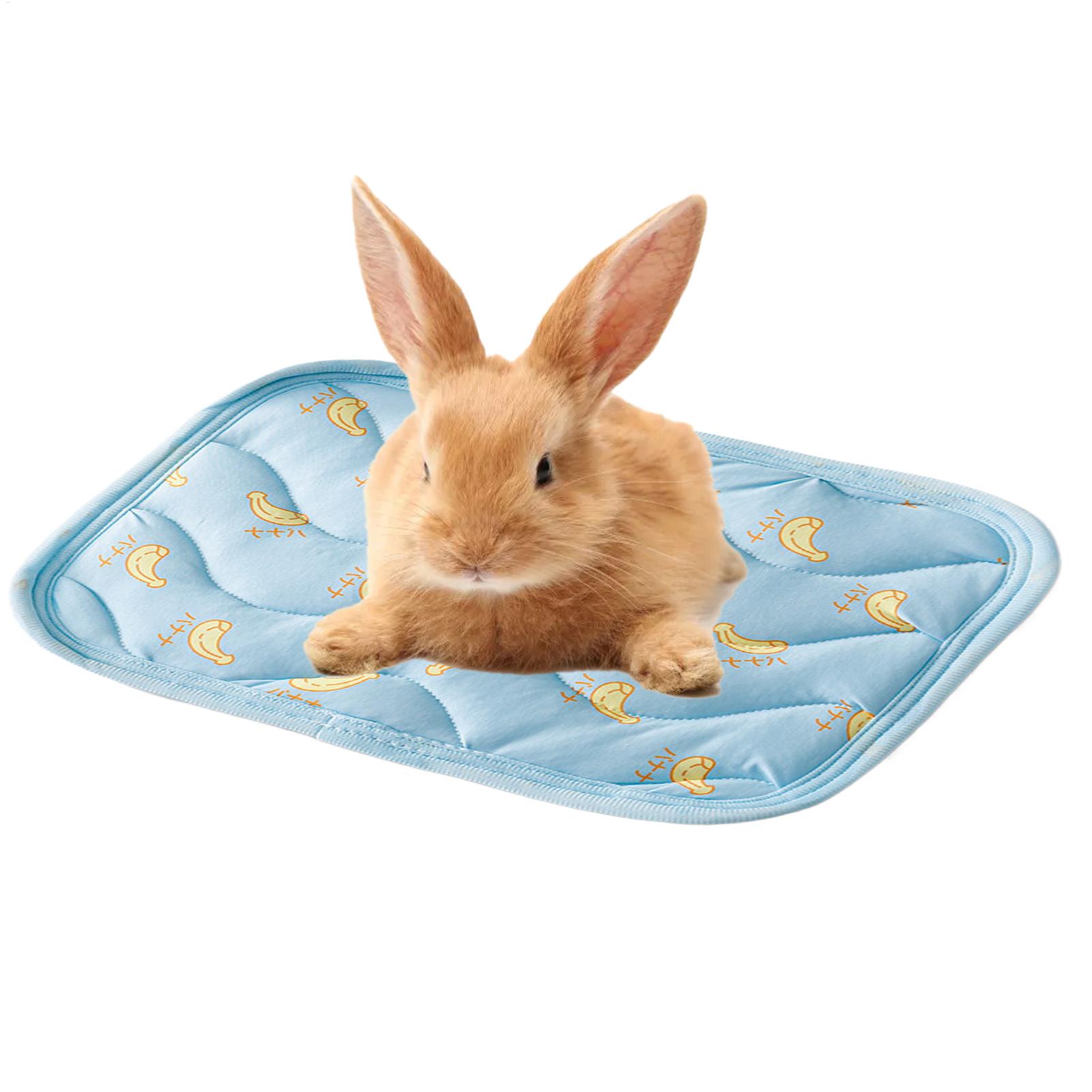 Draagbare duurzame koelmat voo - Outdoor Camping Dog Kennel recensie en prijs