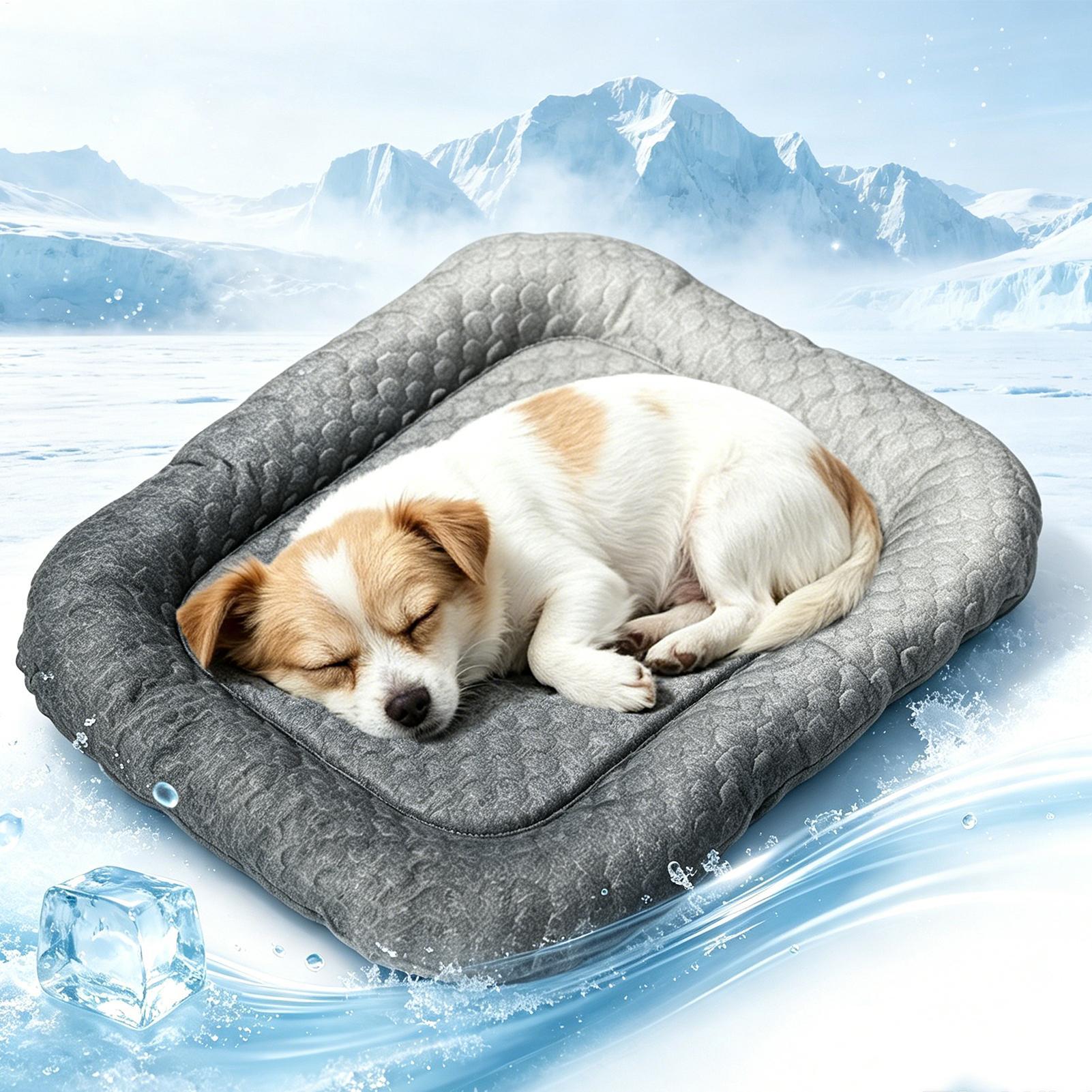 Hondenkoelbed Draagbare antisl - Outdoor Camping Dog Kennel recensie en prijs